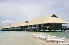 Island And Sun Beach Resort Gilutongan Island Extérieur photo